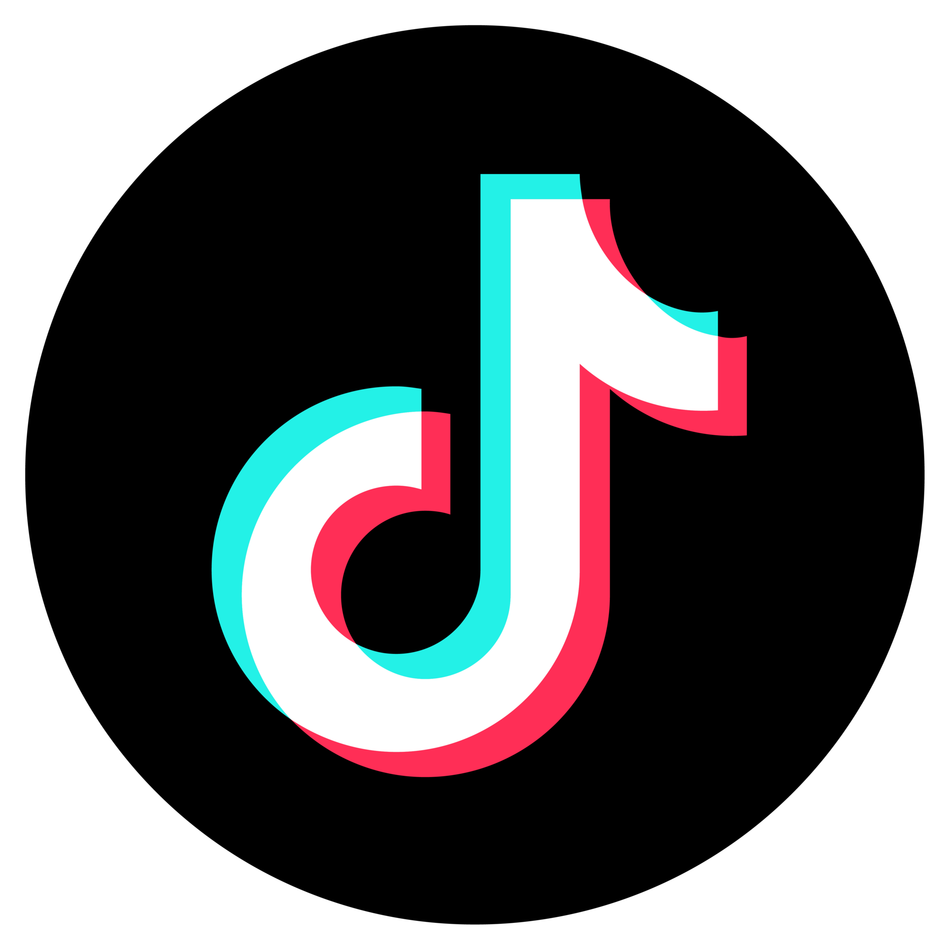 TikTok icon